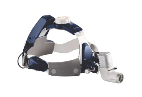 Chihuahua Headlamp Veterinary Equipment